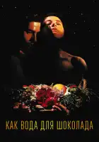 Как вода для шоколада смотреть онлайн (1991)